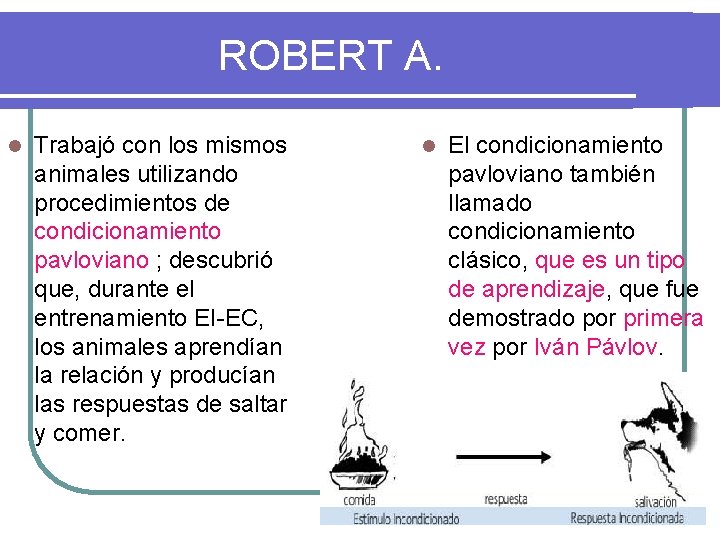 ROBERT A. l Trabajó con los mismos animales utilizando procedimientos de condicionamiento pavloviano ;