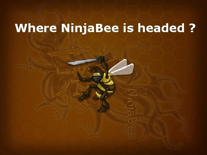 Where Ninja. Bee is headed ? 