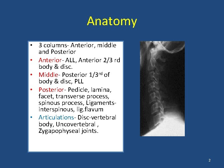 Anatomy • 3 columns- Anterior, middle and Posterior • Anterior- ALL, Anterior 2/3 rd