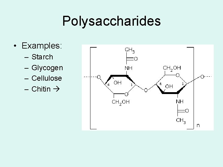 Polysaccharides • Examples: – – Starch Glycogen Cellulose Chitin Polysaccharides • Examples: – – Starch Glycogen Cellulose Chitin