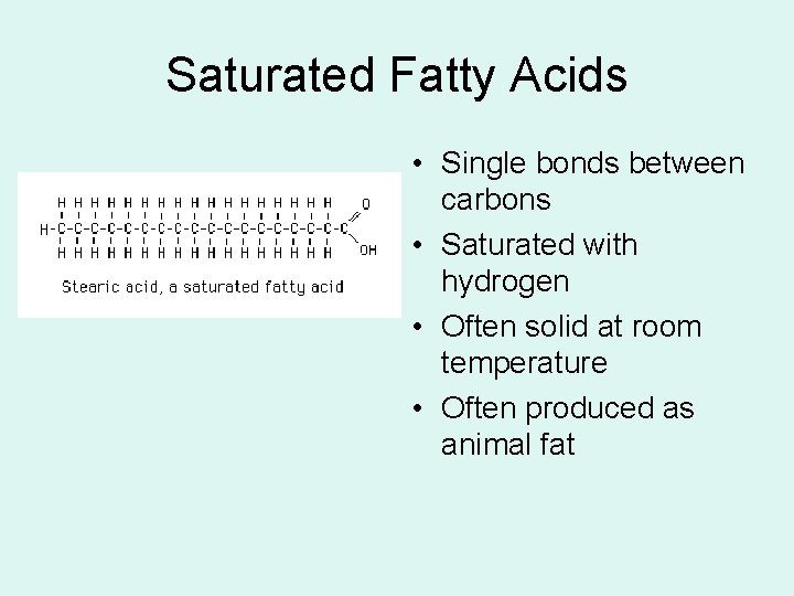 Saturated Fatty Acids • Single bonds between carbons • Saturated with hydrogen • Often Saturated Fatty Acids • Single bonds between carbons • Saturated with hydrogen • Often