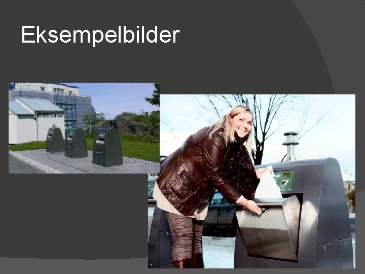 Eksempelbilder 