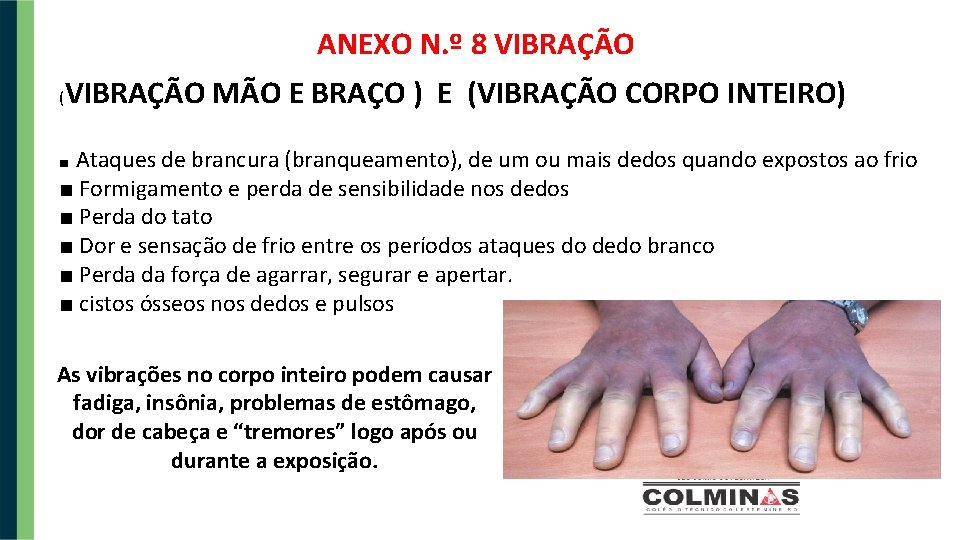 ANEXO N. º 8 VIBRAÇÃO ( VIBRAÇÃO MÃO E BRAÇO ) E (VIBRAÇÃO CORPO