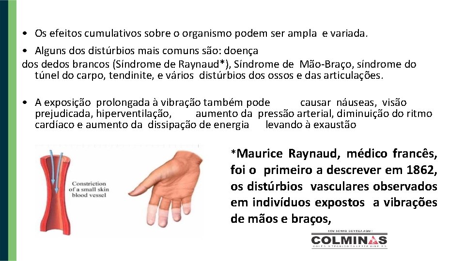  • Os efeitos cumulativos sobre o organismo podem ser ampla e variada. •