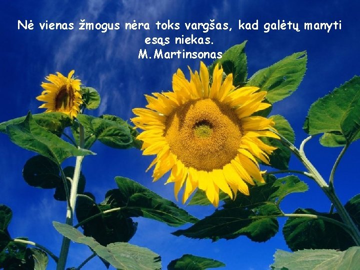 Nė vienas žmogus nėra toks vargšas, kad galėtų manyti esąs niekas. M. Martinsonas 