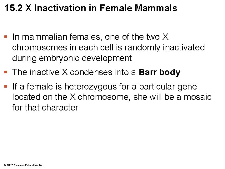 15. 2 X Inactivation in Female Mammals § In mammalian females, one of the