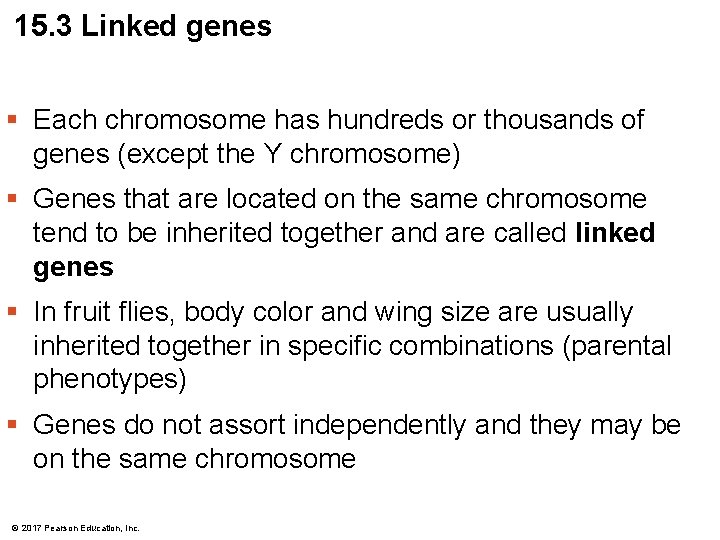 15. 3 Linked genes § Each chromosome has hundreds or thousands of genes (except