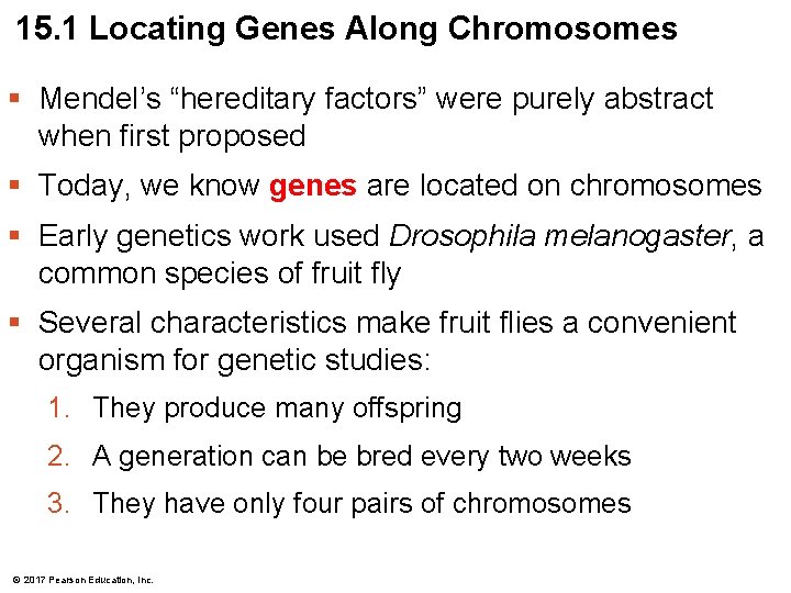 15. 1 Locating Genes Along Chromosomes § Mendel’s “hereditary factors” were purely abstract when