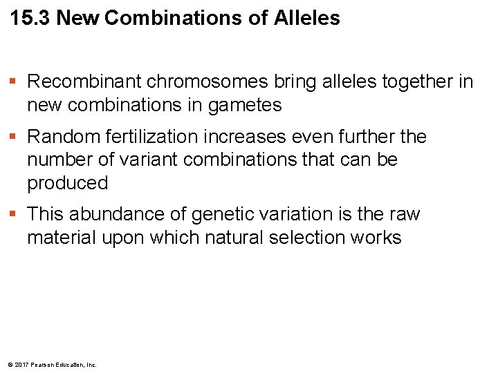 15. 3 New Combinations of Alleles § Recombinant chromosomes bring alleles together in new