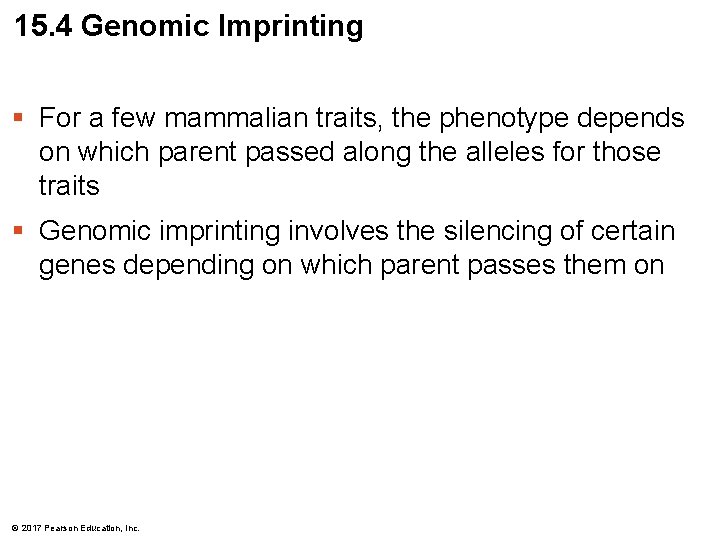 15. 4 Genomic Imprinting § For a few mammalian traits, the phenotype depends on