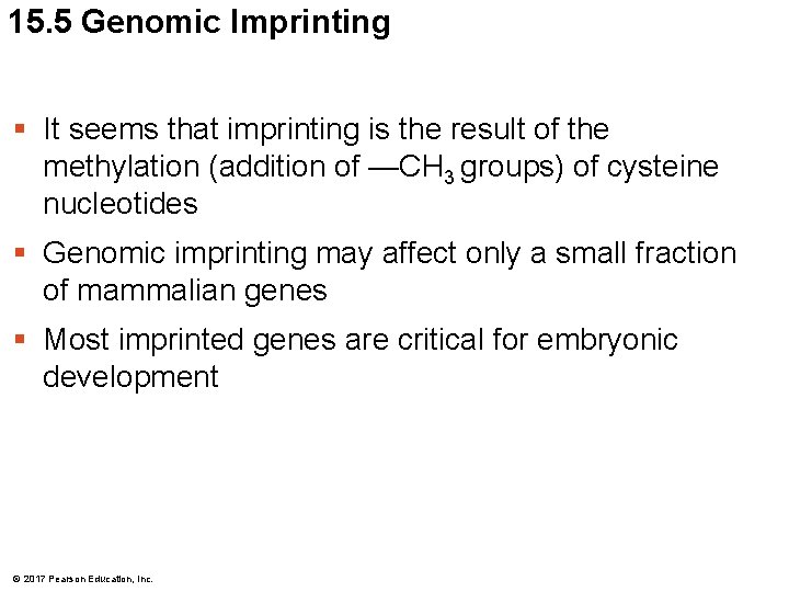 15. 5 Genomic Imprinting § It seems that imprinting is the result of the