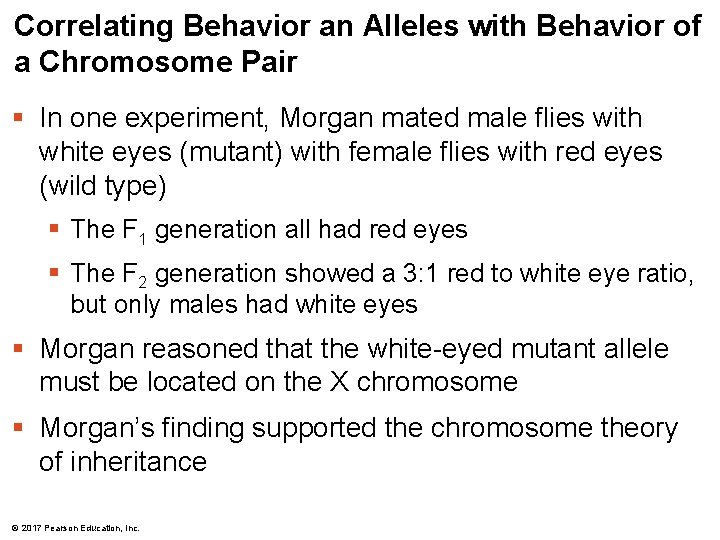Correlating Behavior an Alleles with Behavior of a Chromosome Pair § In one experiment,