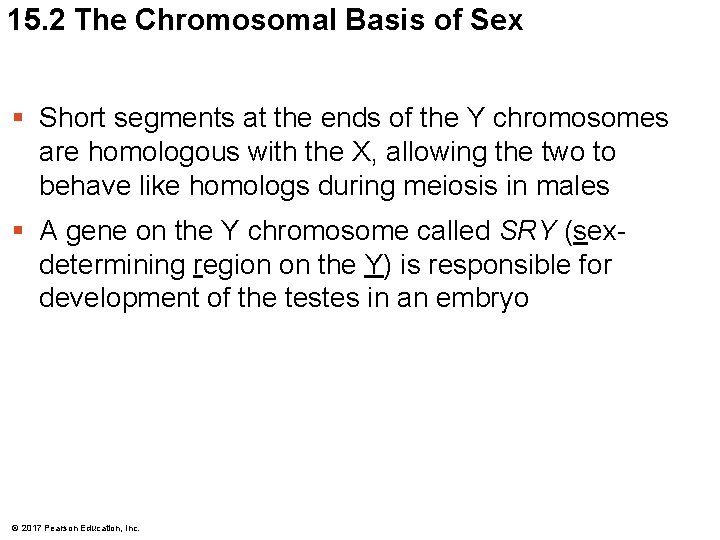 15. 2 The Chromosomal Basis of Sex § Short segments at the ends of