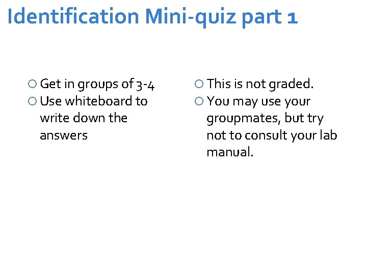 Identification Mini-quiz part 1 Get in groups of 3 -4 Use whiteboard to write