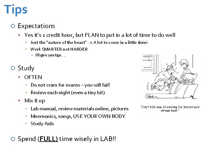 Tips Expectations Yes it’s 1 credit hour, but PLAN to put in a lot