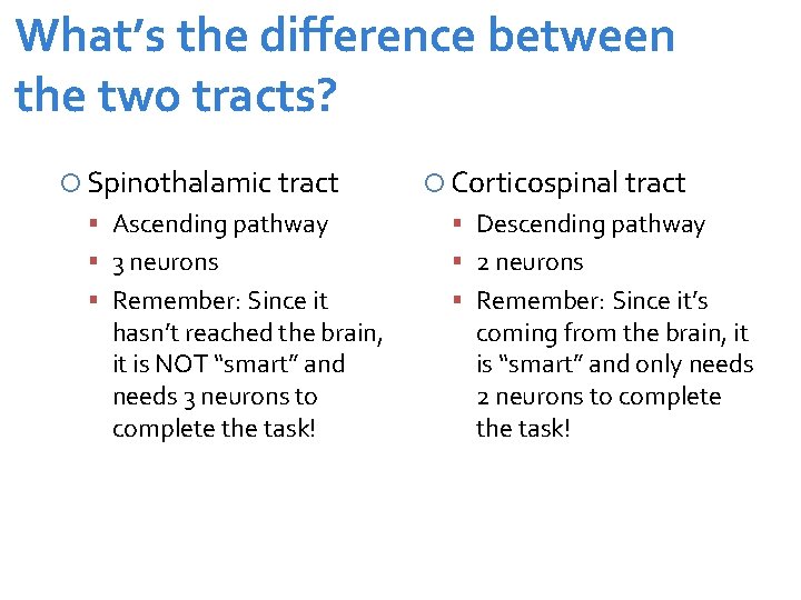 What’s the difference between the two tracts? Spinothalamic tract Corticospinal tract Ascending pathway Descending