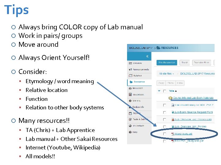 Tips Always bring COLOR copy of Lab manual Work in pairs/ groups Move around