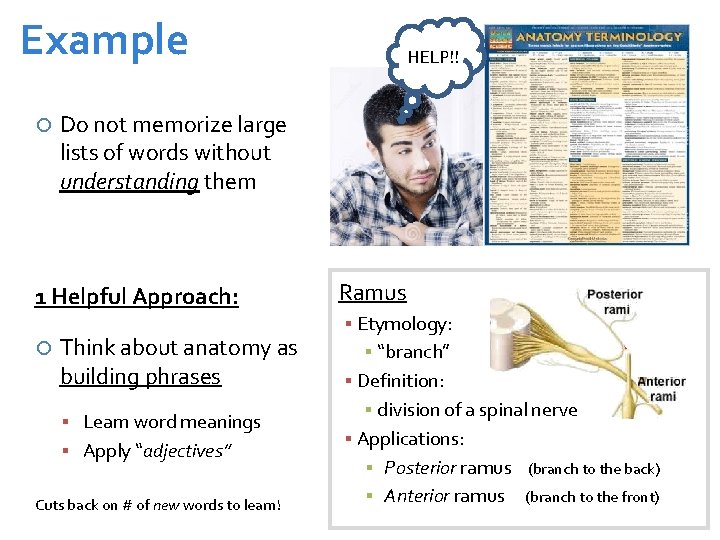 Example Do not memorize large lists of words without understanding them 1 Helpful Approach: