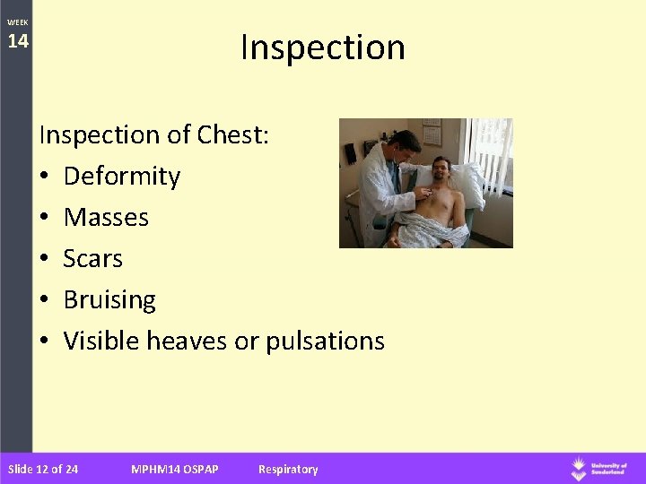 WEEK Inspection 14 Inspection of Chest: • Deformity • Masses • Scars • Bruising WEEK Inspection 14 Inspection of Chest: • Deformity • Masses • Scars • Bruising