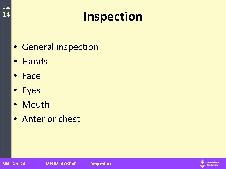 WEEK Inspection 14 • • • General inspection Hands Face Eyes Mouth Anterior chest
