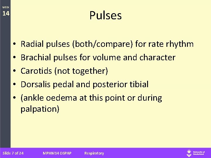 WEEK Pulses 14 • • • Radial pulses (both/compare) for rate rhythm Brachial pulses