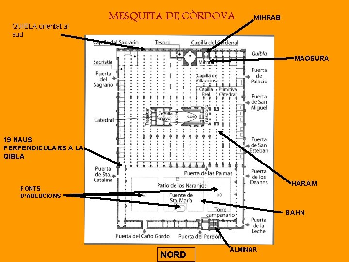 QUIBLA, orientat al sud MESQUITA DE CÒRDOVA MIHRAB MAQSURA 19 NAUS PERPENDICULARS A LA