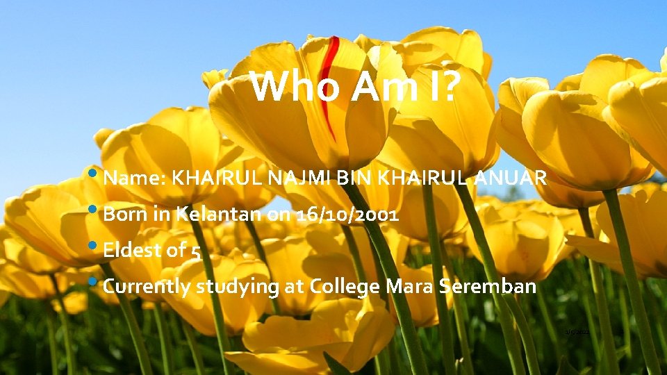 Who Am I? • Name: KHAIRUL NAJMI BIN KHAIRUL ANUAR • Born in Kelantan