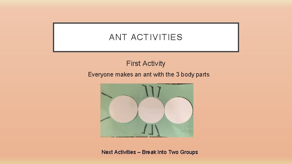 ANT ACTIVITIES First Activity Everyone makes an ant with the 3 body parts Next