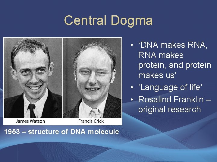 Central Dogma • ‘DNA makes RNA, RNA makes protein, and protein makes us’ •