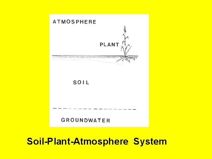 Soil-Plant-Atmosphere System 