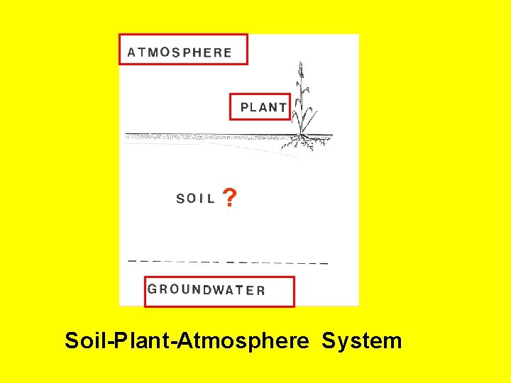 ? Soil-Plant-Atmosphere System 
