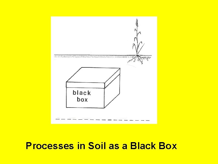 Processes in Soil as a Black Box 