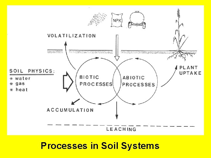 Processes in Soil Systems 