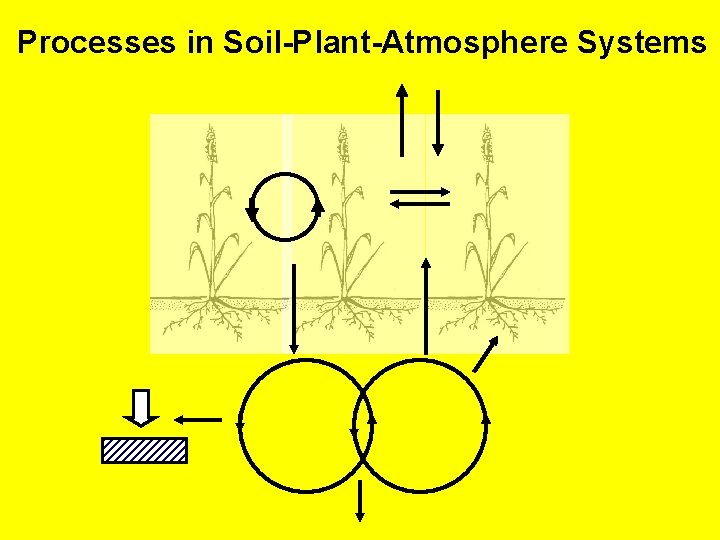 Processes in Soil-Plant-Atmosphere Systems 