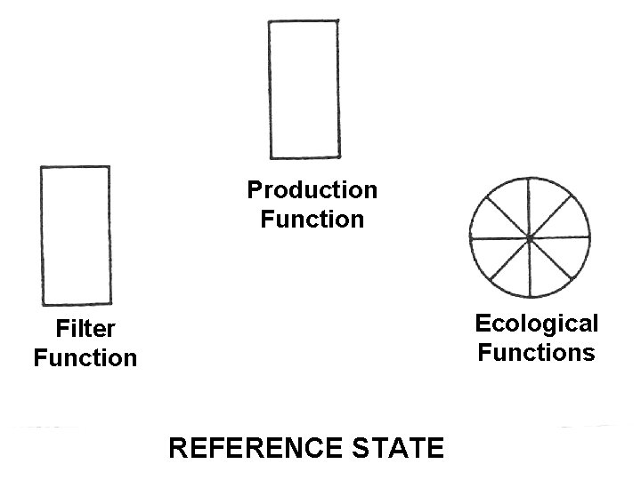 Production Function Ecological Functions Filter Function REFERENCE STATE 