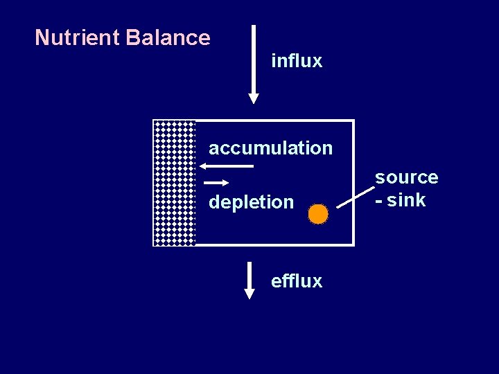 Nutrient Balance influx accumulation depletion efflux source - sink 