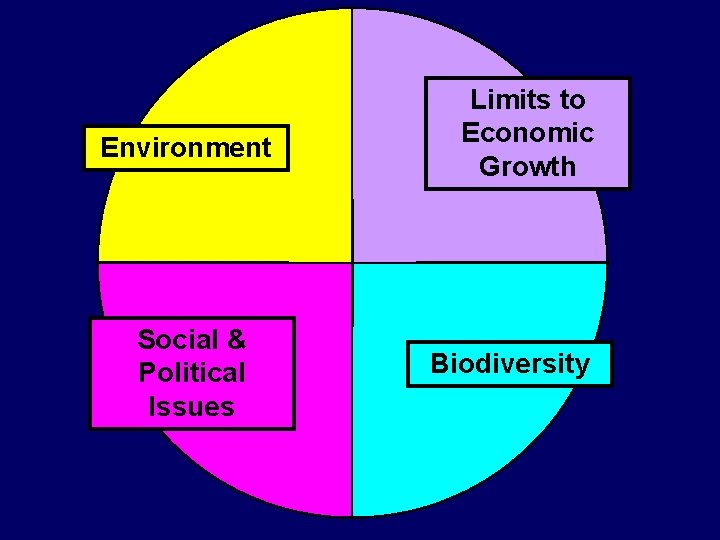 Environment Social & Political Issues Limits to Economic Growth Biodiversity 