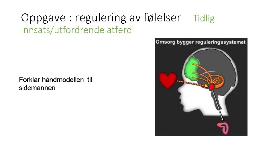 Oppgave : regulering av følelser – Tidlig innsats/utfordrende atferd 