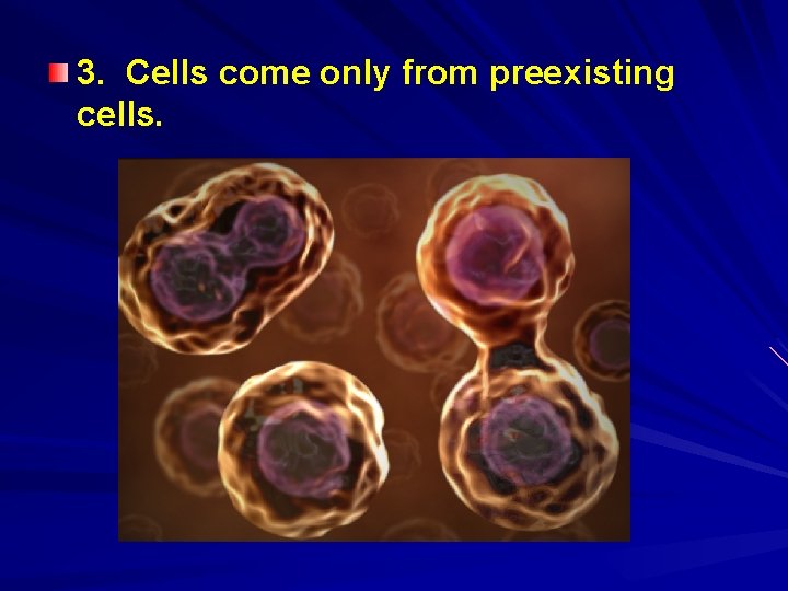 3. Cells come only from preexisting cells. 