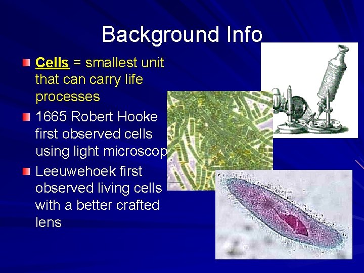 Background Info Cells = smallest unit that can carry life processes 1665 Robert Hooke
