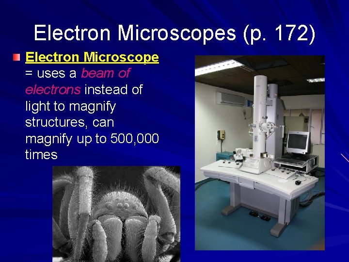 Electron Microscopes (p. 172) Electron Microscope = uses a beam of electrons instead of
