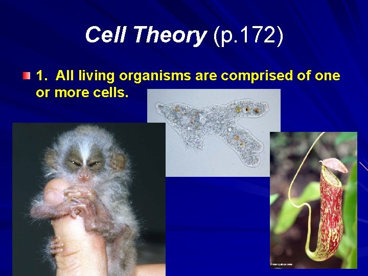 Cell Theory (p. 172) 1. All living organisms are comprised of one or more