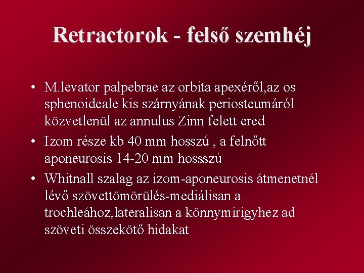Retractorok - felső szemhéj • M. levator palpebrae az orbita apexéről, az os sphenoideale