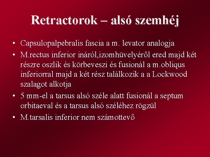 Retractorok – alsó szemhéj • Capsulopalpebralis fascia a m. levator analogja • M. rectus