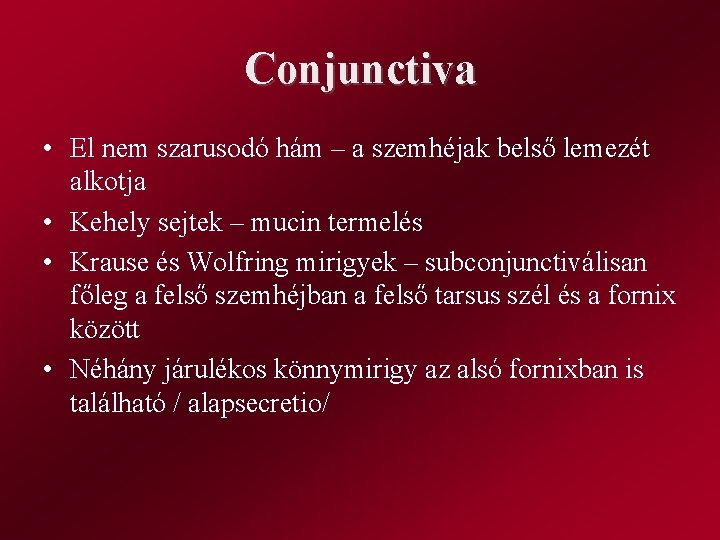 Conjunctiva • El nem szarusodó hám – a szemhéjak belső lemezét alkotja • Kehely
