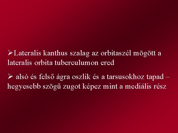 ØLateralis kanthus szalag az orbitaszél mögött a lateralis orbita tuberculumon ered Ø alsó és