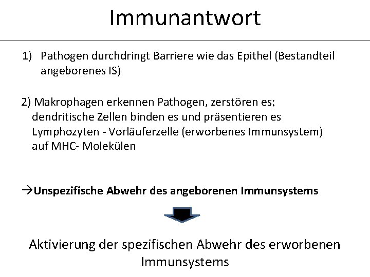 Immunantwort 1) Pathogen durchdringt Barriere wie das Epithel (Bestandteil angeborenes IS) 2) Makrophagen erkennen