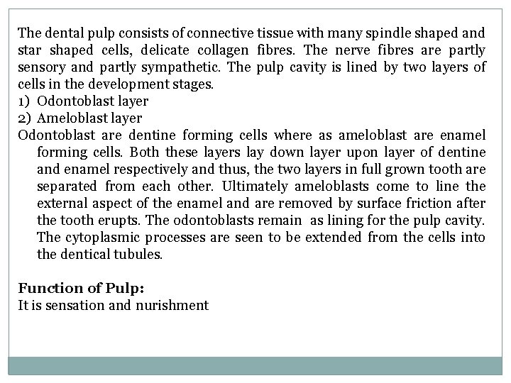 The dental pulp consists of connective tissue with many spindle shaped and star shaped The dental pulp consists of connective tissue with many spindle shaped and star shaped