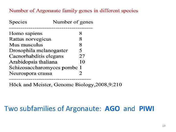 Two subfamilies of Argonaute: AGO and PIWI 17 
