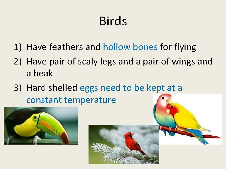 Birds 1) Have feathers and hollow bones for flying 2) Have pair of scaly